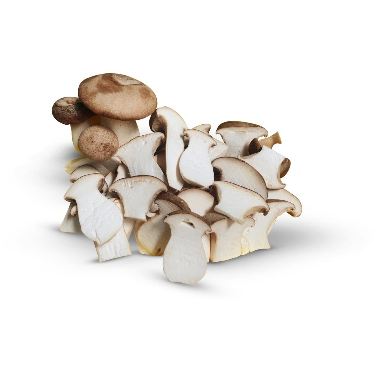 Funghi porcini freschi Eurospin Spesa Online