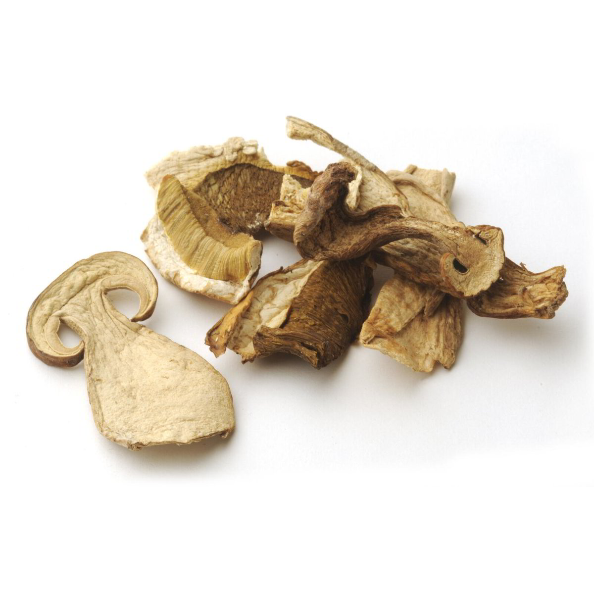 Funghi porcini secchi Eurospin Spesa Online