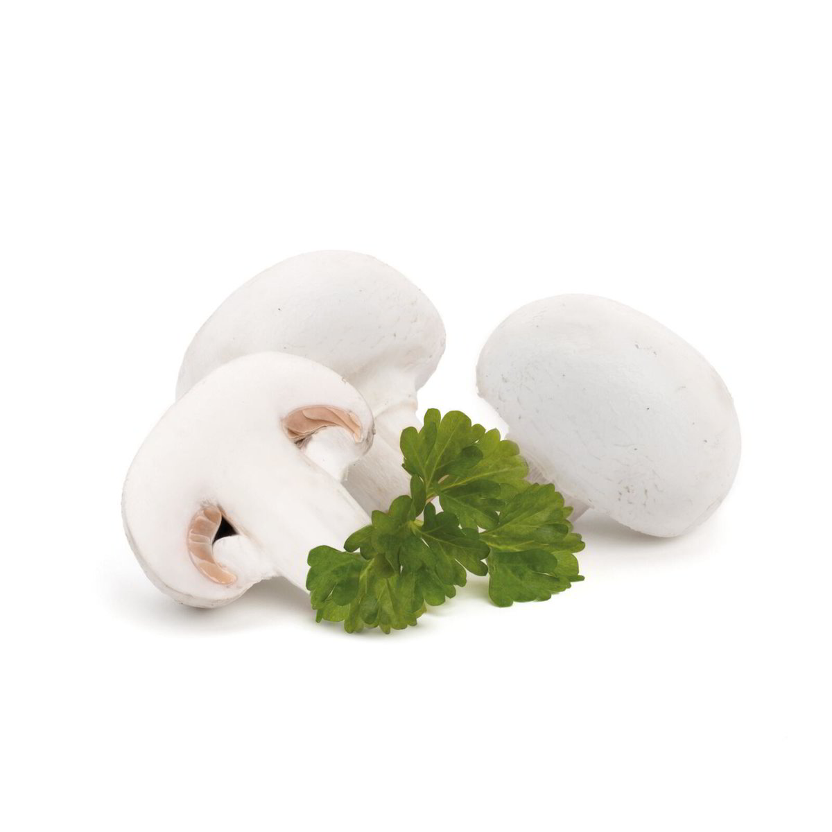 Funghi champignon Eurospin Spesa Online